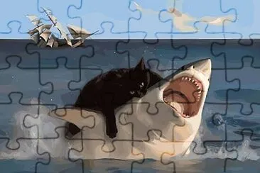 Gato come tiburon