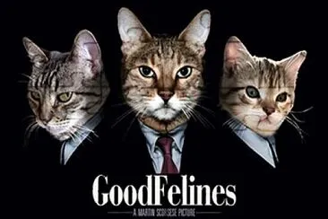 Gatos buenos