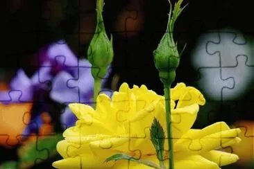 ImÃ¡genes jigsaw puzzle