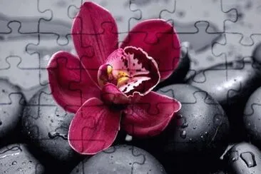 ImÃ¡genes jigsaw puzzle