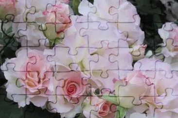 ImÃ¡genes jigsaw puzzle