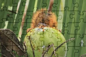 ImÃ¡genes jigsaw puzzle