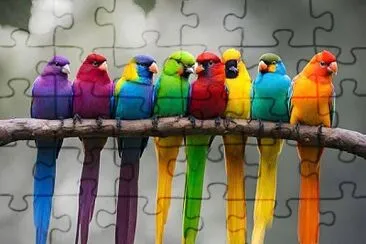 animales jigsaw puzzle