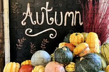 Autumn with pumpkins   gourds