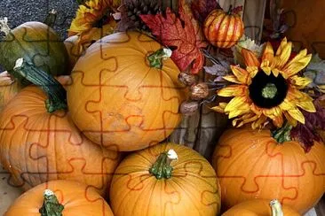 Display of orange pumpkins