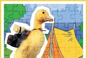 Saturnin fait du camping