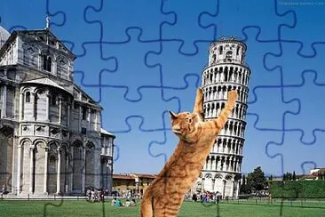 Gato invade italia