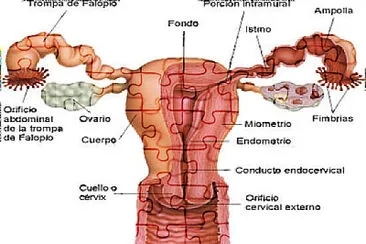 armalo lo mas rapido que puedas