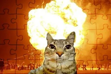 Gato malvado