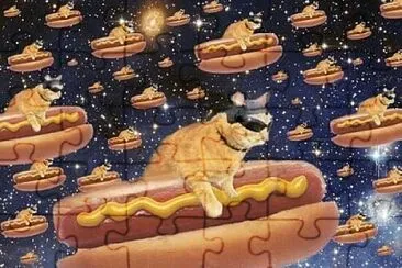 Gato pancho