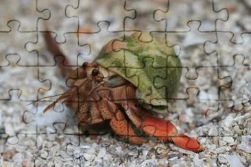 ImÃ¡genes jigsaw puzzle