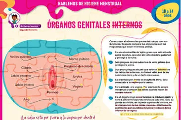 GENITALES INTERNOS FEMENINOS