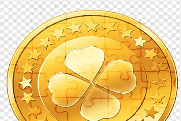 6 piezas