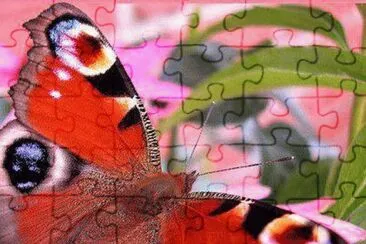 ImÃ¡genes jigsaw puzzle