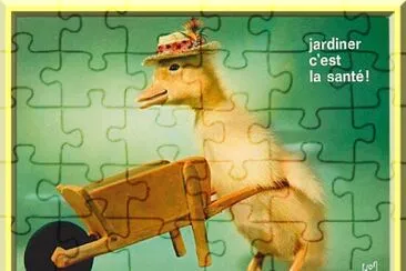 Saturnin