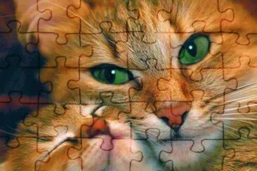 ImÃ¡genes jigsaw puzzle