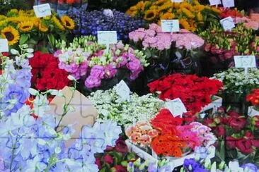 Blumen-Markt