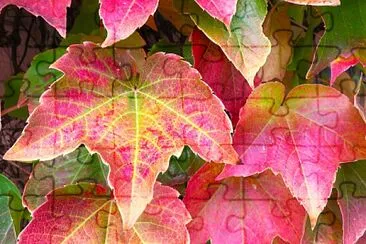 Herbstblätter