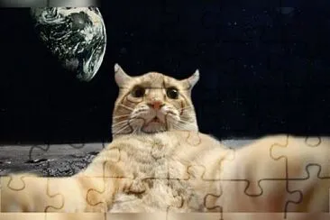 Gato en el espacio