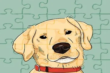 chien