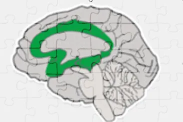 RESUELVE EL SIGUIENTE RETO Y DESCUBRE LA IMAGEN