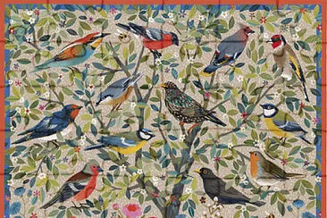 les oiseaux