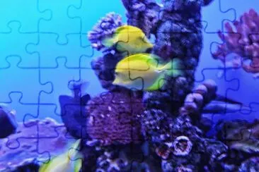 Yellow Fish and Purple Coral Art jigsaw puzzle