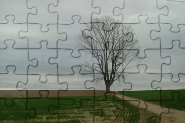 å“²å­¸ä¹‹æ¨¹ jigsaw puzzle