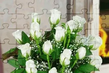 Rosas Brancas