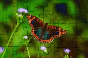 . jigsaw puzzle