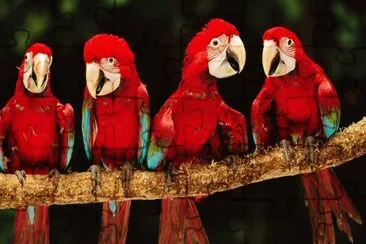 . jigsaw puzzle