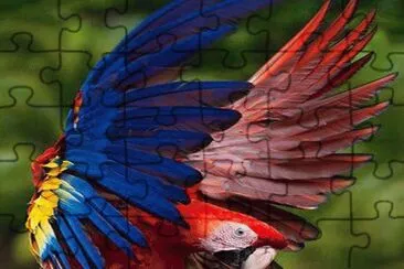 . jigsaw puzzle