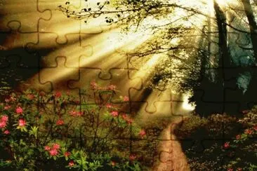 פאזל של Luz