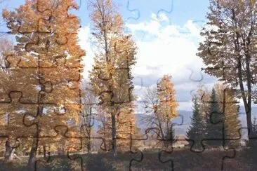 open spaces jigsaw puzzle