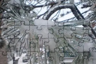 flor gelada jigsaw puzzle