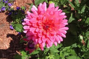 flor jigsaw puzzle