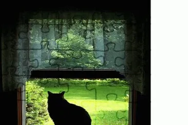 animais jigsaw puzzle
