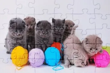 . jigsaw puzzle