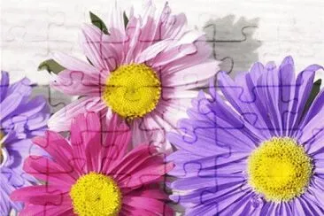 image jigsaw puzzle