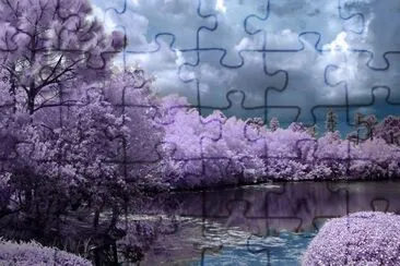 Purple Lake jigsaw puzzle
