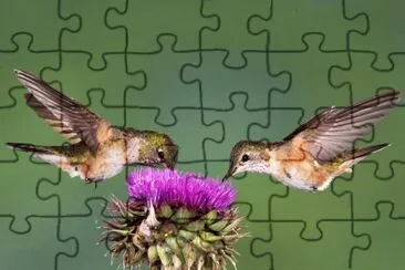 05 jigsaw puzzle