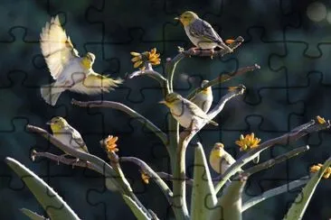 14 jigsaw puzzle