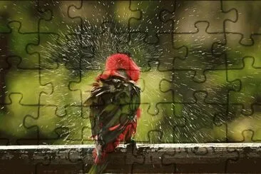 45