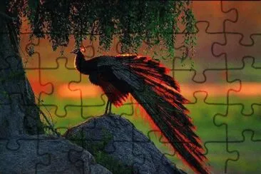 48 jigsaw puzzle