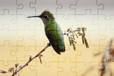 78 jigsaw puzzle