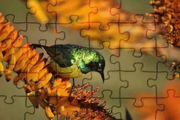87 jigsaw puzzle