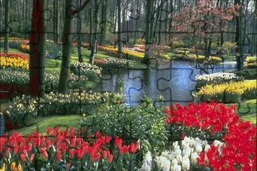 Jardim colorido
