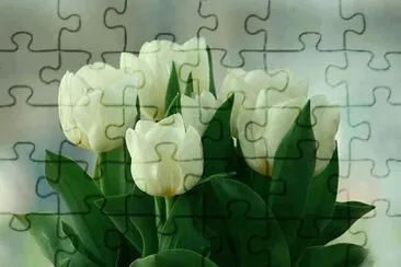 amo jigsaw puzzle