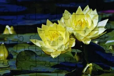 09