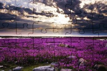 13 jigsaw puzzle
